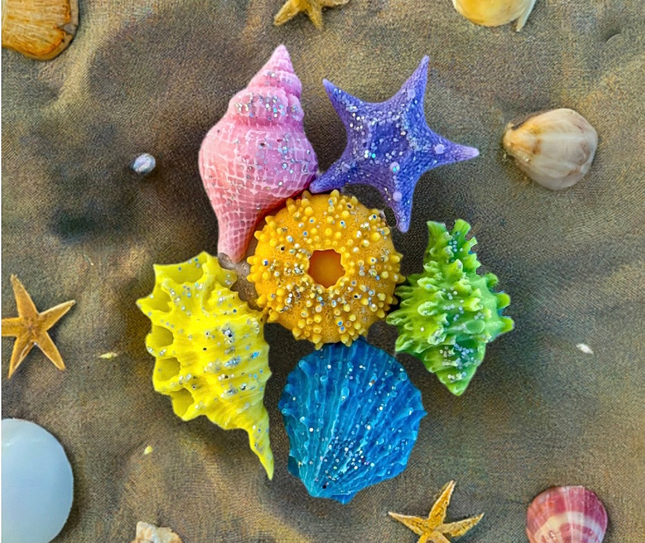 Seashell wax melts on a beach